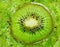 Kiwi smoothies and kiwi fruit background, top view