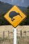 Kiwi warning sign