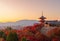 Kiyomizu Dera Pagoda Temple with red maple leaves or fall foliage in autumn season. Colorful trees, Kyoto, Japan. Nature and