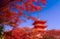 Kiyomizu-dera Temple in autumn , Kyoto, Japan