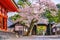 Kiyomizu-dera Temple and cherry blossom season Sakura spring t