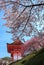 Kiyomizu temple and cherry blossom in Kyoto
