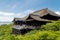 Kiyomizudera temple