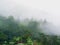 Kledung, Temanggung regency - March 18, 2018 : View of foggy forest in Central Java, Indonesia after rain in the morning.