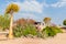 Klein Karas, Namibia - July 11 2014: Quiver trees growing in between abandoned classic car in garden of Canon Roadhouse