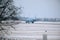 KLM Royal Dutch Airlines Boeing 737-800 PH-BXZ lands on snowy runway