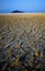 Kluane Mountain Range with Yellow Field