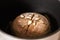 Kneaded dough ball from rye flour on marble countertop ready to go in oven