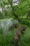 Knebworth House Garden Pond