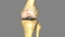 Knee joint