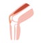 Knee joint section illustration  / no text