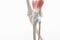 Knee meniscus leg bone pain, human leg anatomy illustration