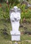 Kneeling angel statue in the cemetery of Saint Benedict`s Painted Church on the Big Island, Hawaii.