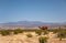 Kneeling dromedary statue, Borrego Springs, CA, USA