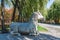 Kneeling horse statue on the ancient Ming Dynesty Tomb Alley