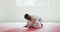 Kneeling judoka saluting on the judo mat