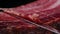 Knife cutting slicing a traditional Iberico Spanish ham, jamon. Whole leg. Close up
