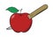 Knife stabbed apples, vector