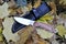 Knife stainless steel blade black leather pouch military weapon garden autumn nature