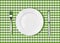 Knife, white plate and fork on green picnic table cloth