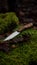 A knife in a wooded setting