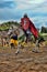 Knight helmet and shield on horseback through the joust