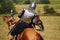 Knight on horse. Medieval armored equestrian soldiers. Riders are in the field