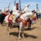 Knight horse from Morocco with traditional clothes.