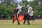 Knight jousting. Medieval knights during a jousting tournament