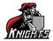 Knight mascot with shield