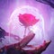 The knight`s hand in a glove made of iron armor, carefully holds a glass flask, inside which a beautiful magic rose emits a pink