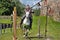 A knight with a spear on a horse at the Russian Fortress festival of historical reconstruction