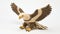 Knitted Bald Eagle Toy On White Background