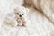 Knitted beige bear sits on a plaid of handmade