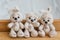 Knitted beige bunnies and bears