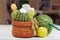 Knitted cactus flower with blossom in pot and accessories for knitting