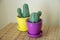 Knitted cactus handmade
