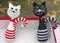 Knitted colorful cats toys in a street souvenir shop