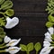 Knitted green leaf and white flower background