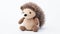 Knitted Hedgehog Toy: Robert Munsch Style Crocheted Porcupine