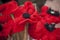 Knitted Red poppy anzac day remembrance day