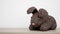 Knitted stuffed gray toy rabbit on a wooden table against a white wall with space for your text