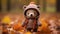 a knitted teddy bear wearing a hooded coat in autumn leaves