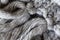 Knitted woolen scarf with tassels, macro. Soft grey merino wool backdrop, closeup. Autumn and winter flat lay.