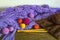 Knitting concept. Colorful balls of wools, knitted scarf and knitting needles