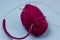 Knitting project in progress. A piece of knitting with a ball of yarn and knitting