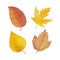 Knitting watercolor autumn leaves clipart.