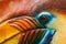Knobbed Hornbill, Rhyticeros cassidix, from Sulawesi, Indonesia. Rare exotic bird detail eye portrait. Big red eye. Beautiful jung