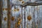 Knocker wood door castiglione olona italy