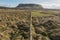 Knocknarea hill and Strandhill town, county Sligo,